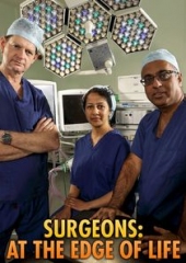 外科医生:生命边缘第四季