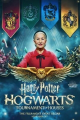 哈利·波特:霍格沃茨学院锦标赛第一季